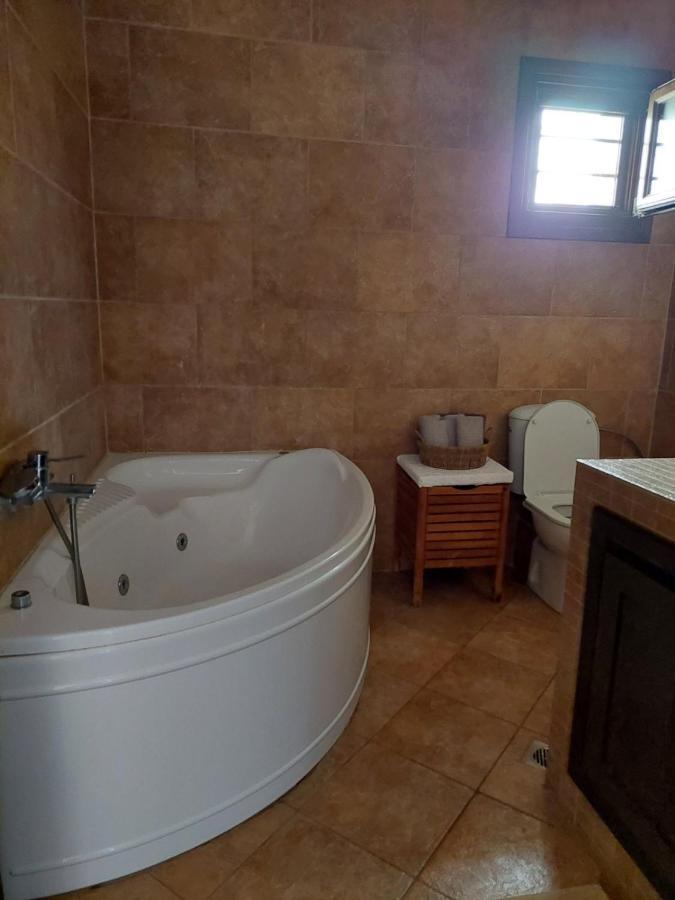 Anastasia Stone House Psakoudia Extérieur photo